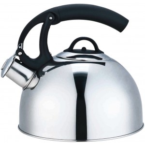 Home Basics Stainless Steel Whistling Tea Kettle in Silver HOBA2266
